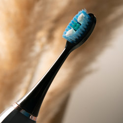 Y-Brush Replacement Brushes heads for DuoBrush