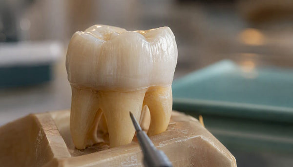 Close-up of tooth enamel layer