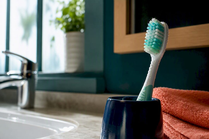 Damp toothbrush head in bathroom holder